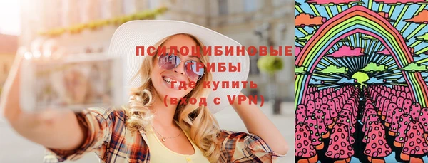 дмт Алексин