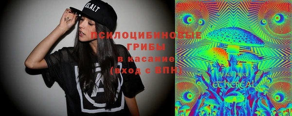 дмт Алексин
