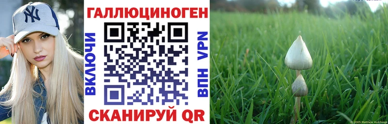где купить наркоту  Камбарка  Галлюциногенные грибы ЛСД 