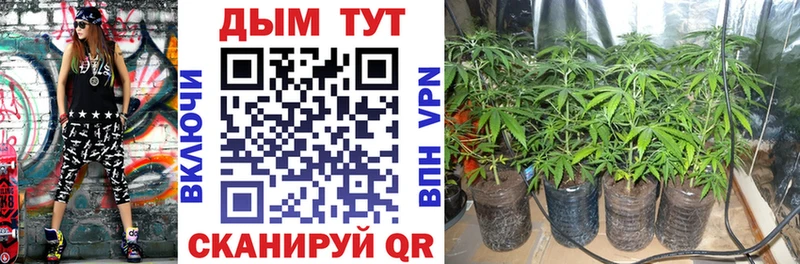 Бошки Шишки план  Камбарка 